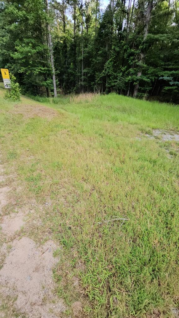 0 Barnes Mill Road, Hamilton, GA, 31811