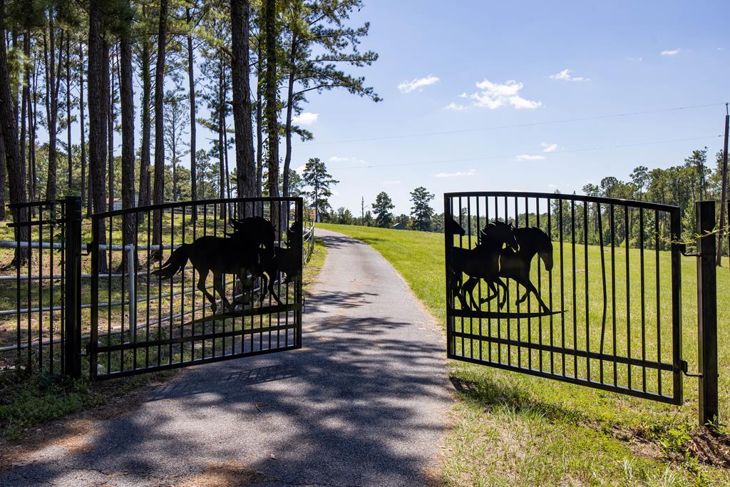 475 Rock Church Road, Junction City, GA, 31812