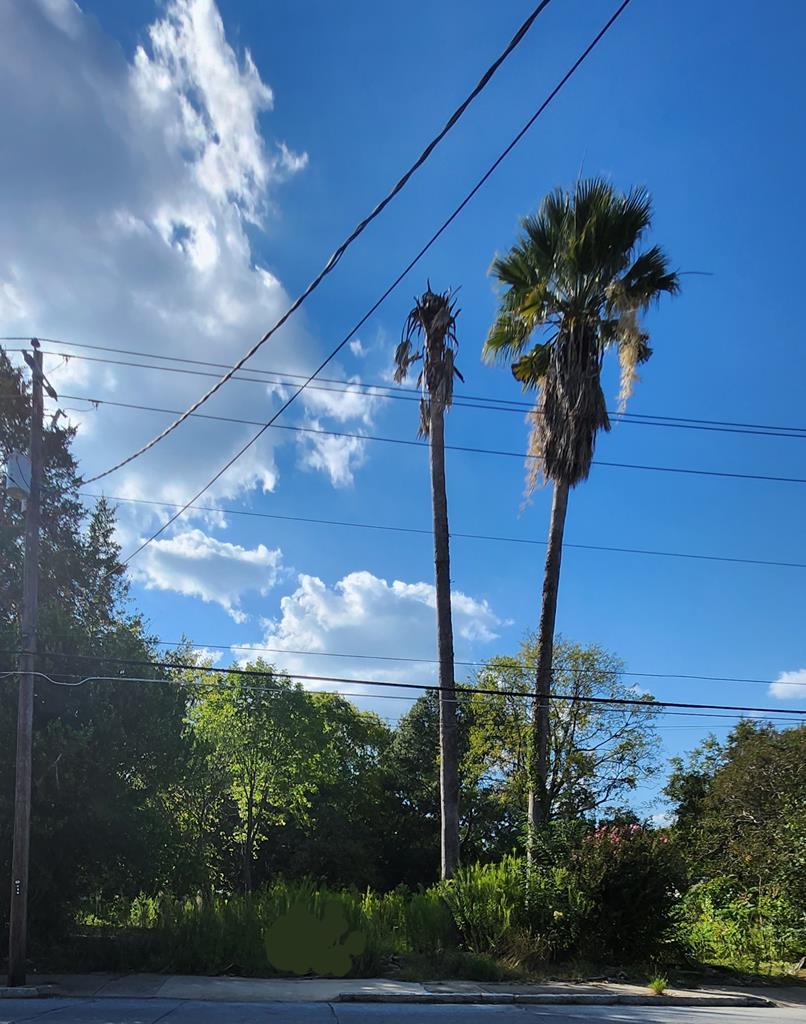 2505 Hamilton Road, Columbus, GA, 31904