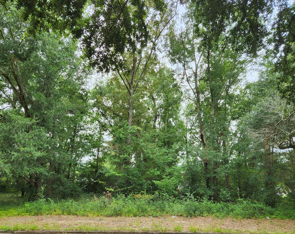 1500 Tift, East, Albany, GA, 31705