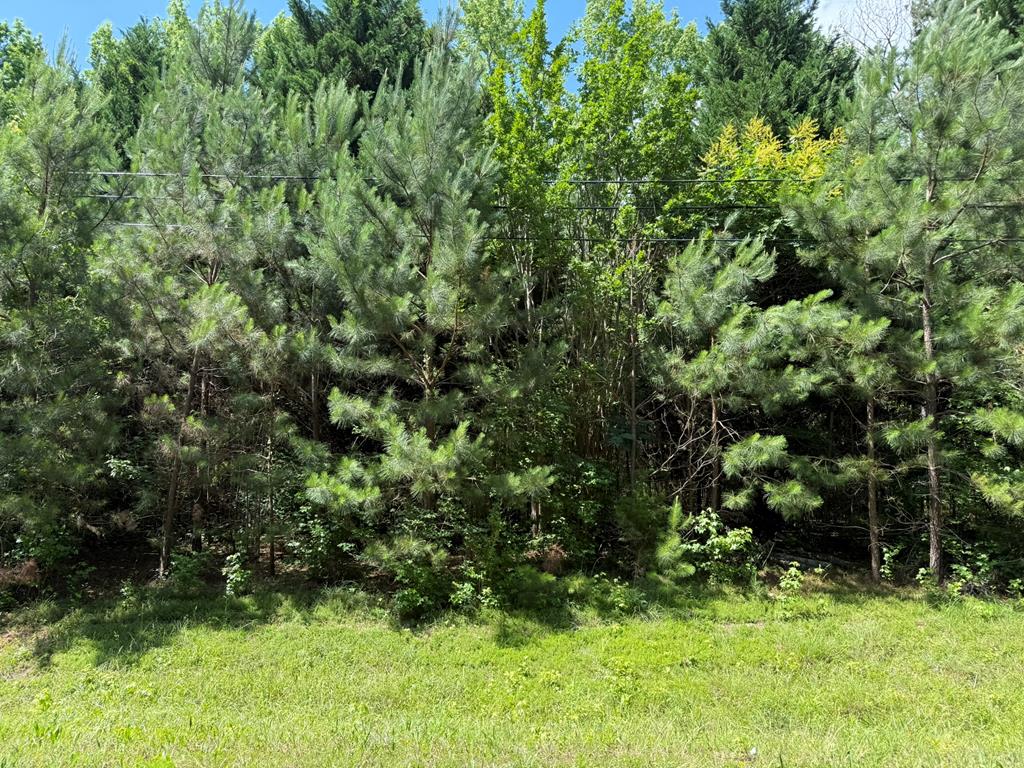 1425 River Road, Warm Springs, GA, 31830