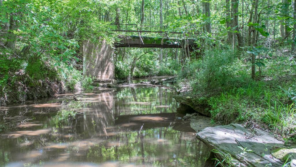 0 Trammell Mill Road, Shiloh, GA, 31826