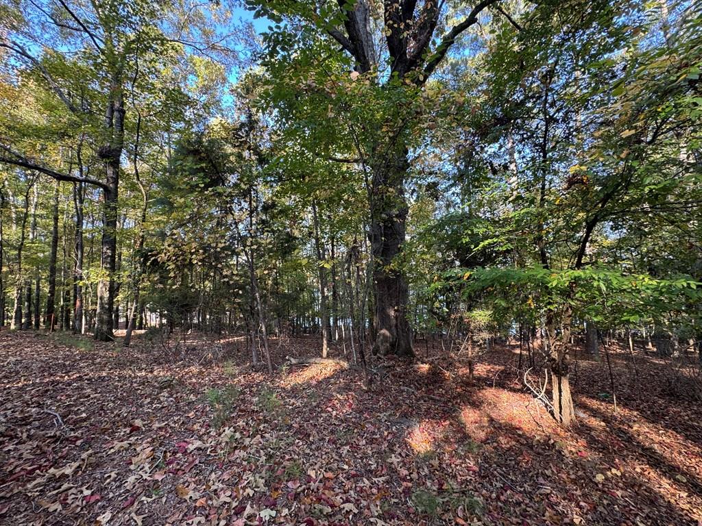 LOt 77 Piedmont Lake Road, Pine Mountain, GA, 31822