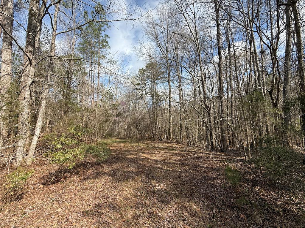 21 Acres Ga Highway 0085, Waverly Hall, GA, 31831
