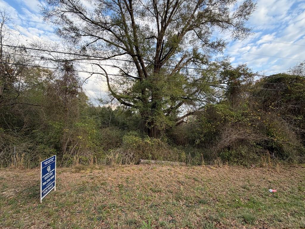 728 Parkhill Drive, Columbus, GA, 31907