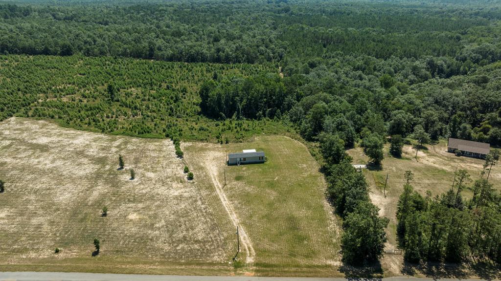 97 Mill Pond Road, Buena Vista, GA, 31803